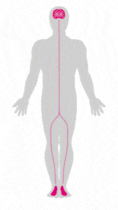 sensomotorik_down min